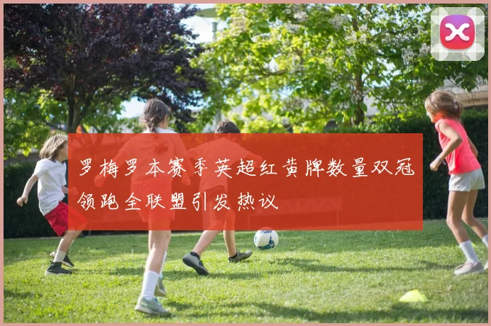 罗梅罗本赛季英超红黄牌数量双冠领跑全联盟引发热议
