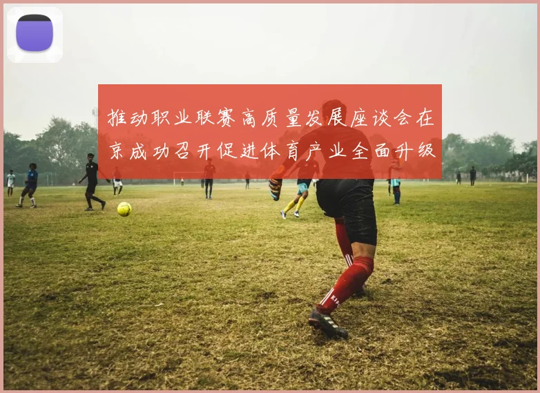 推动职业联赛高质量发展座谈会在京成功召开促进体育产业全面升级与创新发展