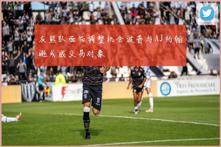 灰熊队面临调整机会波普与AJ约翰逊或成交易对象