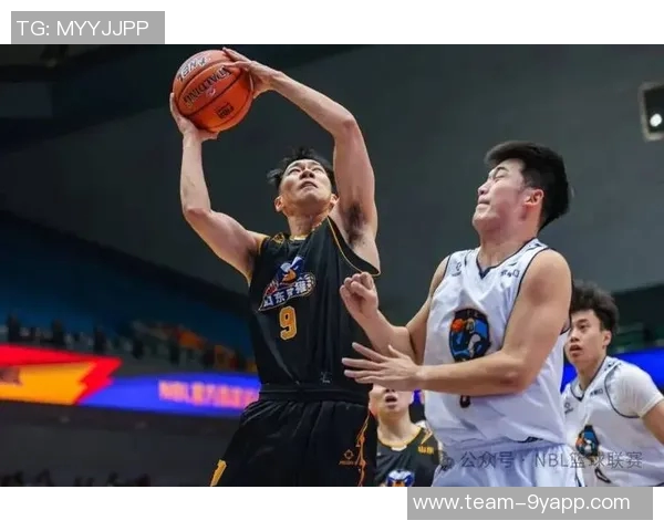 张家口体文旅篮球俱乐部全景解析NBL球队巡礼第4期精彩亮点与发展前景